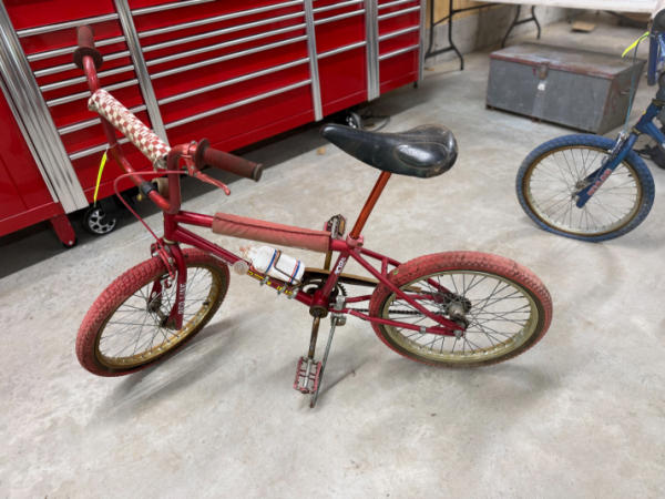 auction photo